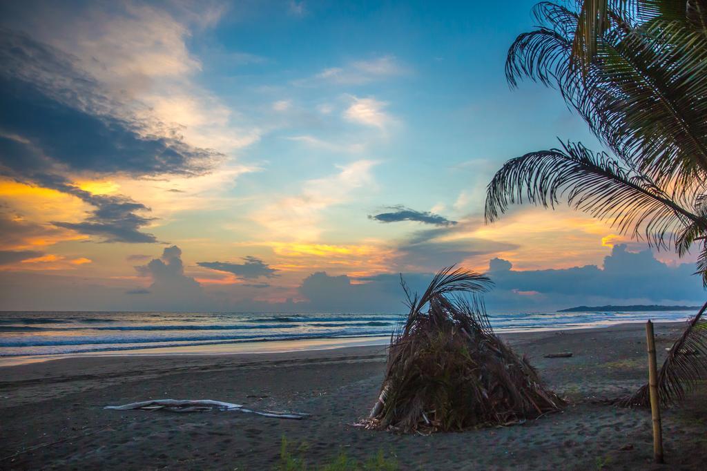 Encantada Ocean Cottages Esterillos Este Bagian luar foto
